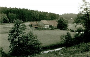 Holzmühle